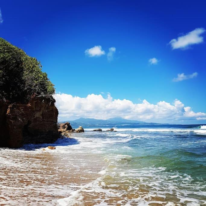 Charmant Et Spacieux Studio A 50M De La Plage Le Diamant Ngoại thất bức ảnh