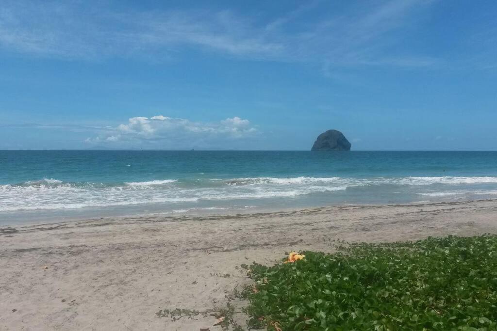 Charmant Et Spacieux Studio A 50M De La Plage Le Diamant Ngoại thất bức ảnh